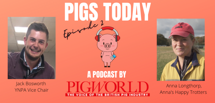 New Pigs Today podcast out today! | Pig World